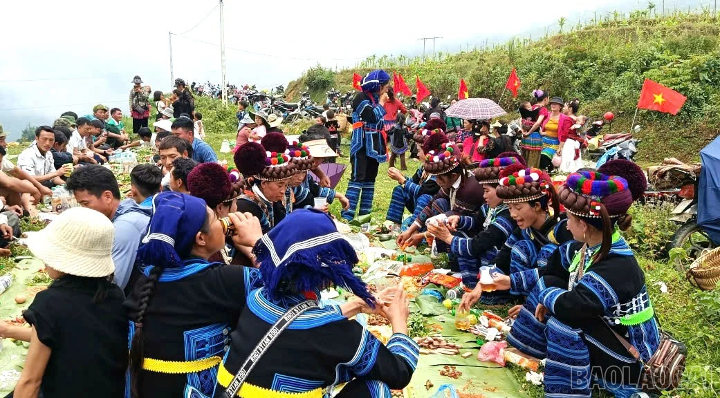 baolaocai-br_7.jpg