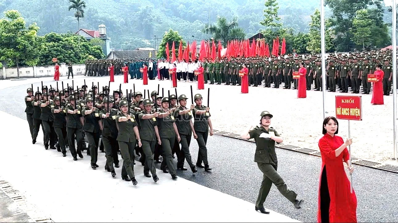 baolaocai-c_12.jpg