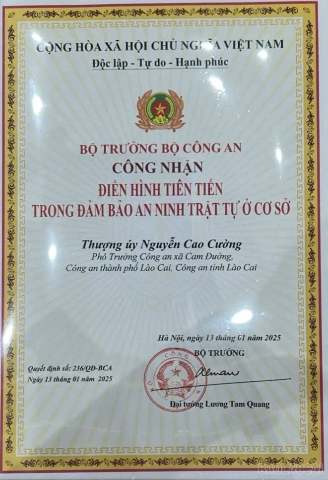 baolaocai-br_4.jpg