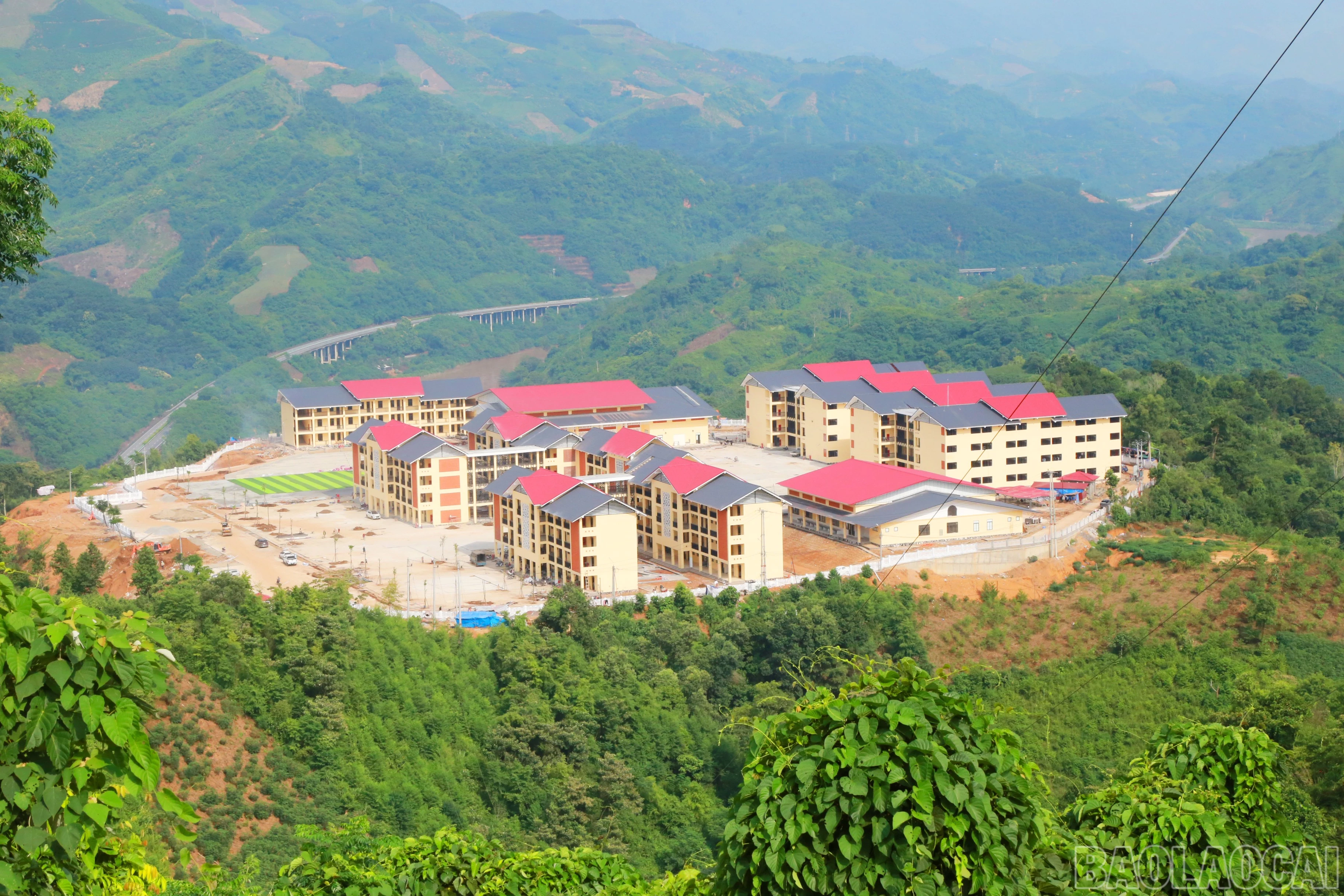 baolaocai-br_9.jpg