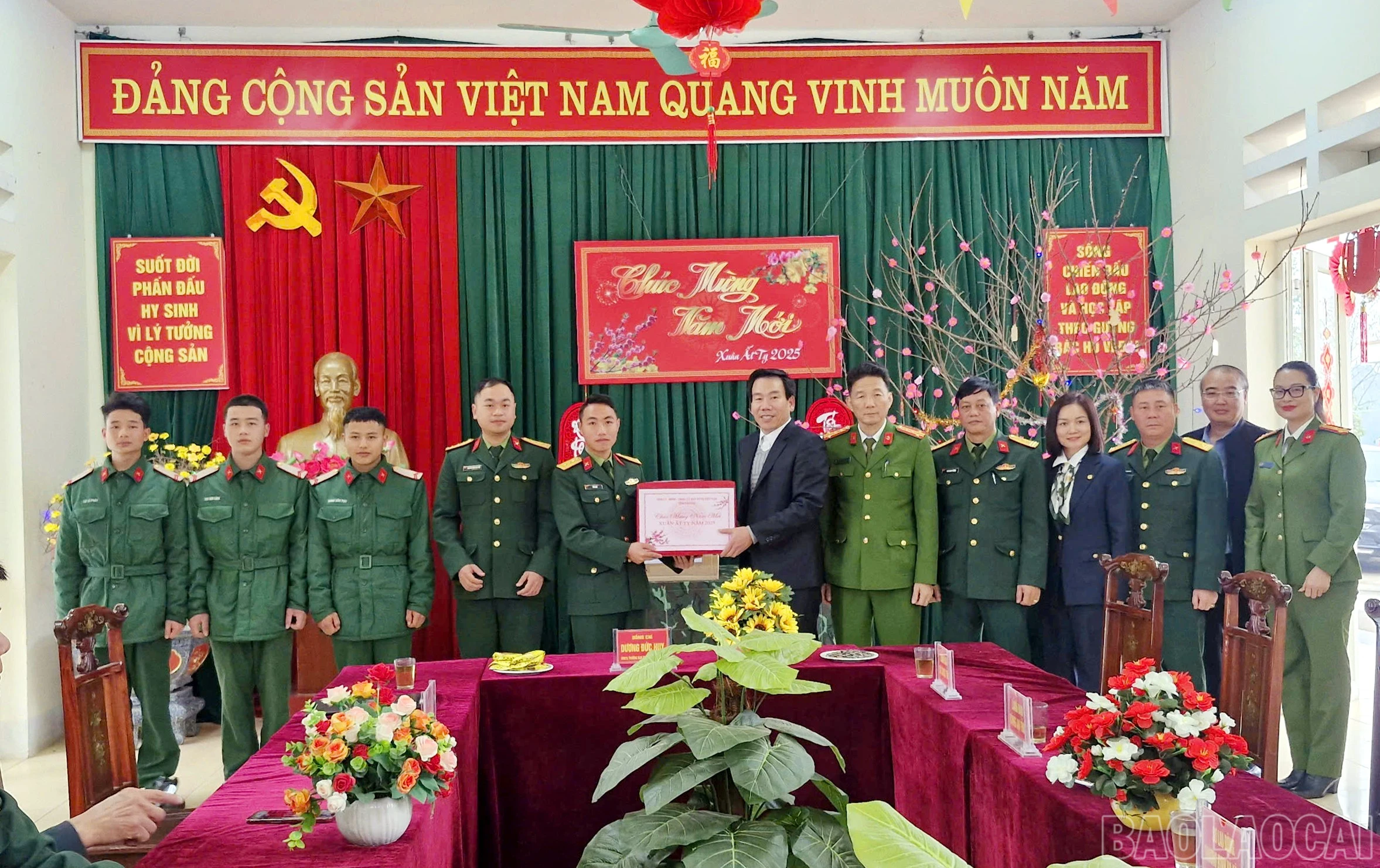 baolaocai-br_a7.jpg