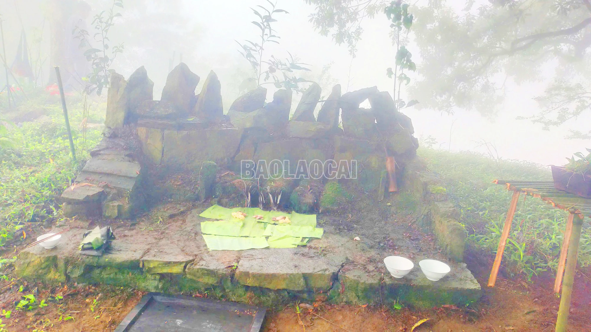 baolaocai-c_5.jpg