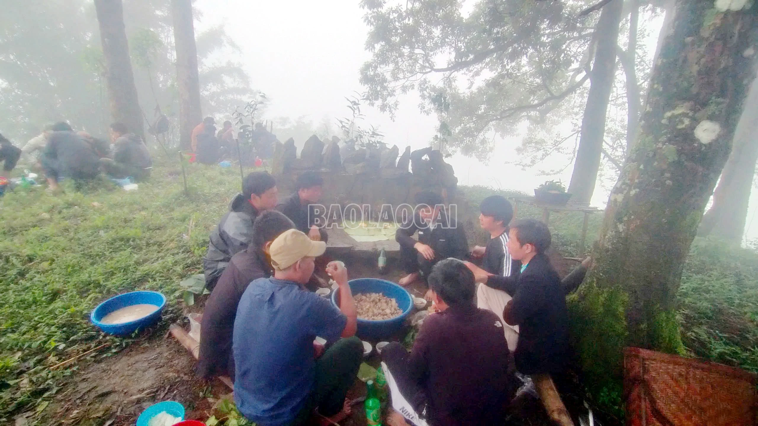 baolaocai-c_10.jpg