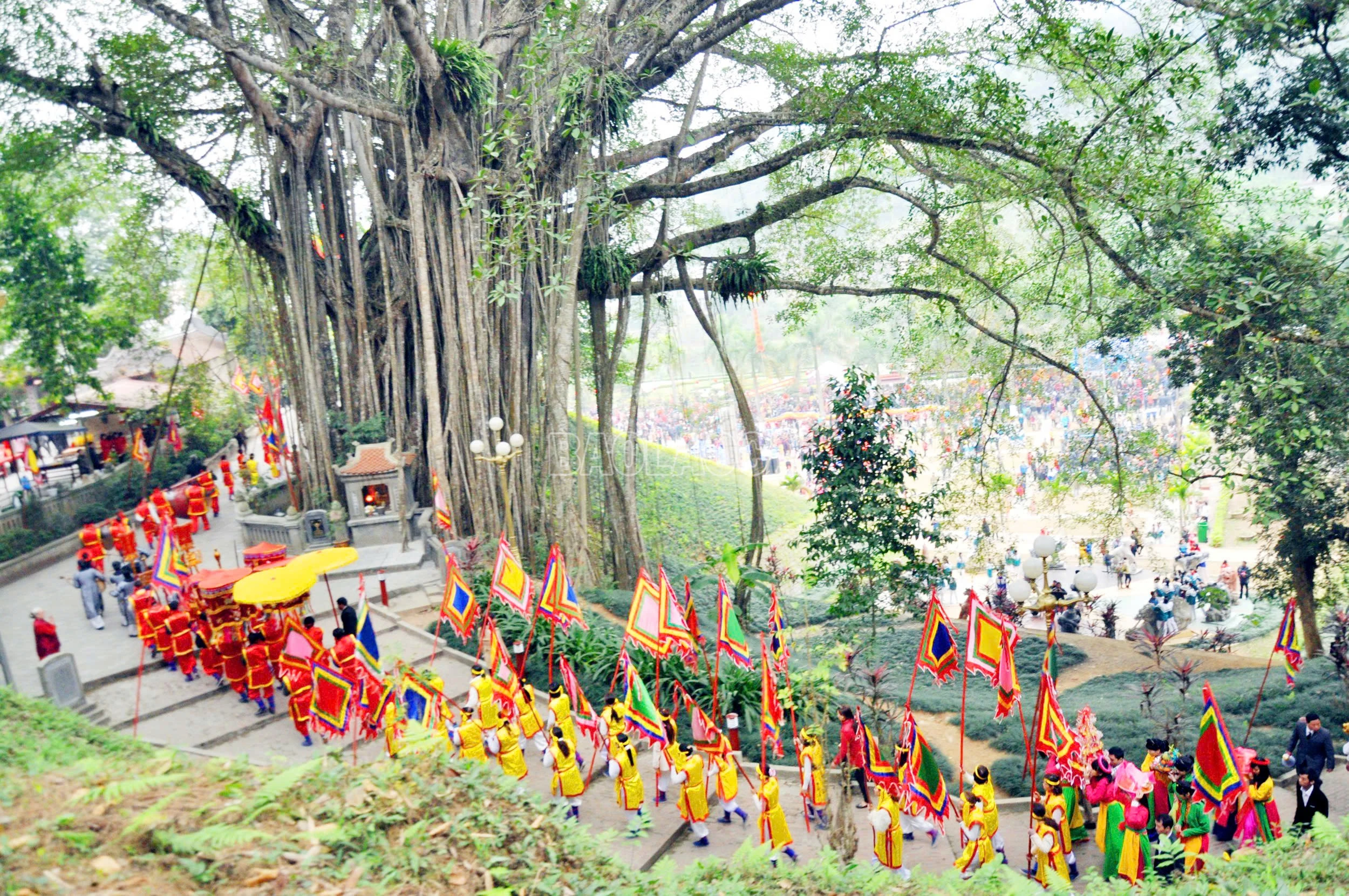 baolaocai-c_z7039346277651-e9337c412a34d13fcb074394970a29a9.jpg