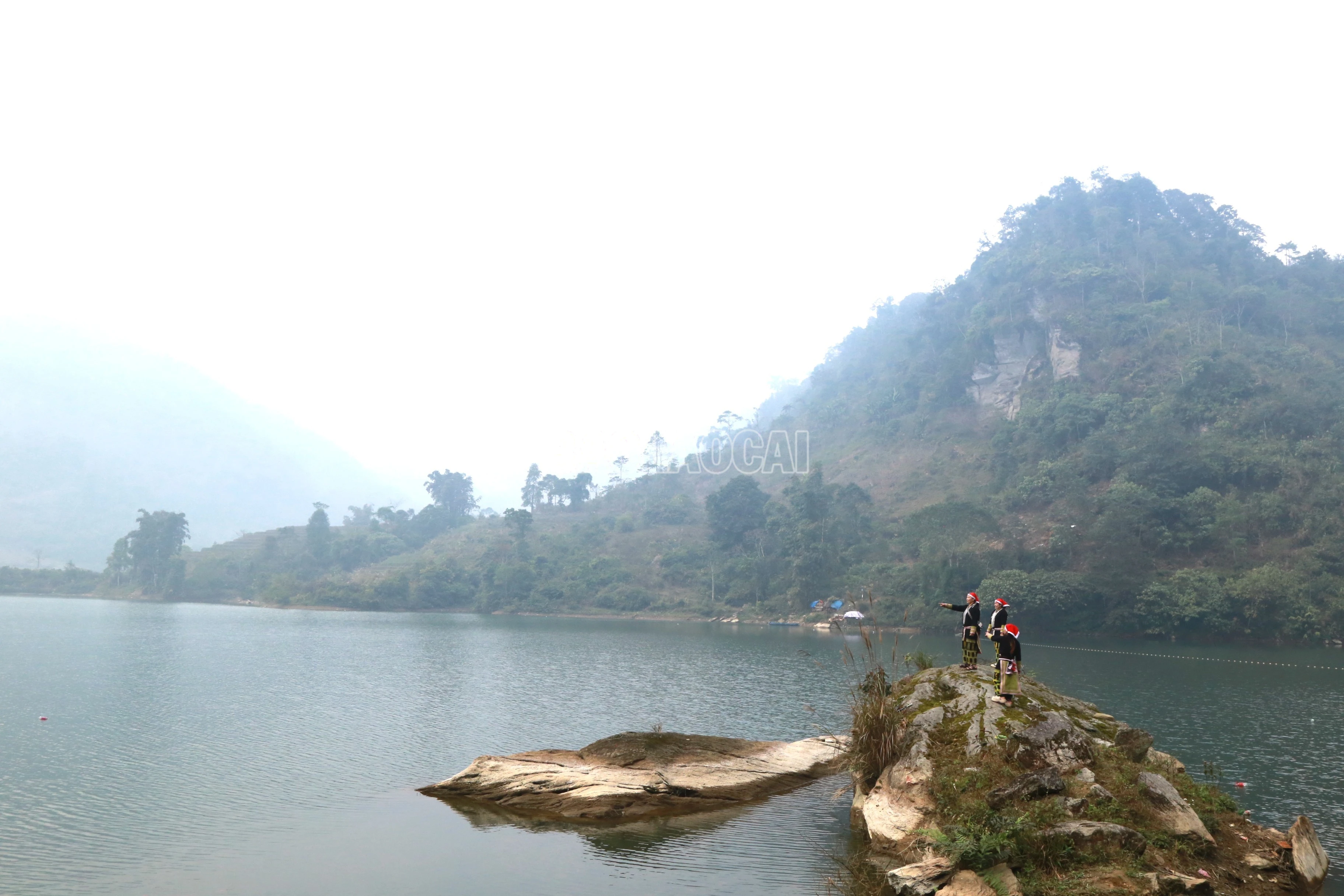 baolaocai-c_img-8917.jpg