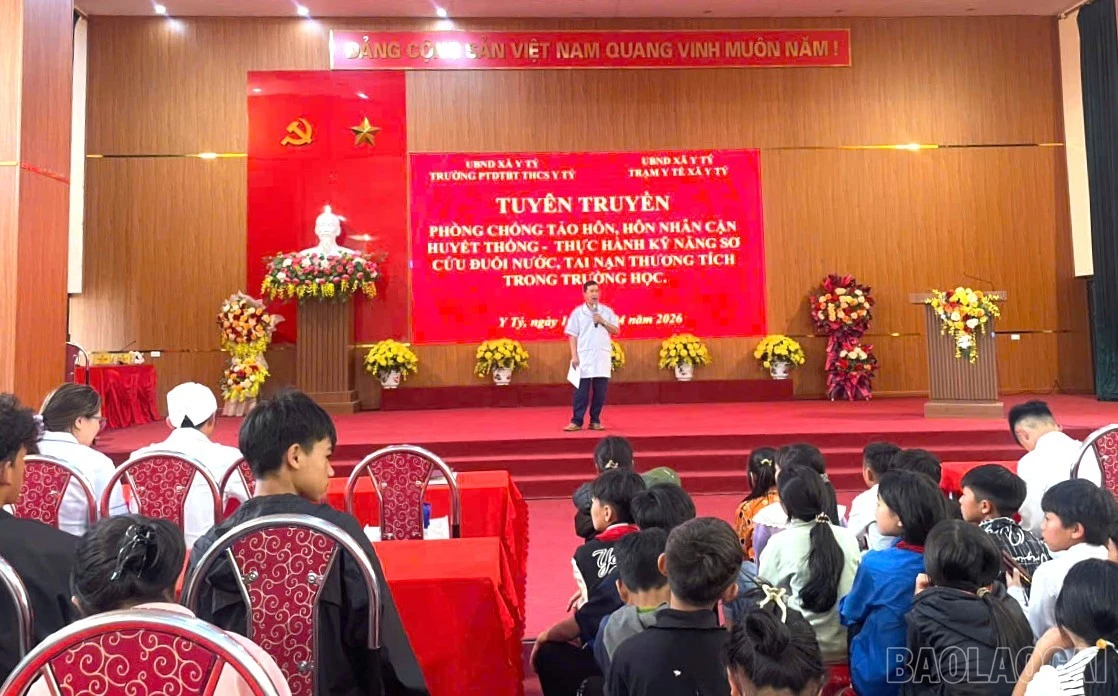 baolaocai-br_6.jpg