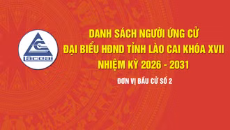 [Infographic] Tiểu sử tóm tắt những người ứng cử đại biểu HĐND tỉnh Lào Cai khóa XVII, nhiệm kỳ 2026 - 2031 (Đơn vị bầu cử số 2)