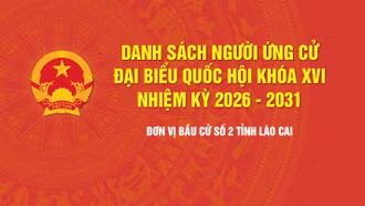 [Infographic] Tiểu sử tóm tắt những người ứng cử đại biểu Quốc hội khóa XVI - Đơn vị bầu cử số 2, tỉnh Lào Cai