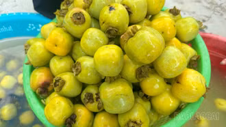 Mùa hồng không hạt xuống nước