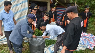 Tăng cường chăm sóc đàn vật nuôi bảo đảm nguồn cung thực phẩm Tết