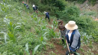 Sinh kế bền vững ở Khao Mang