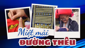 Miệt mài đường thêu
