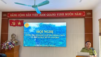Nâng cao nhận thức về bảo vệ phòng cháy, chữa cháy rừng