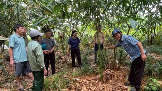 Cán bộ xã Lương Thịnh trao đổi với các hộ dân về chăm sóc diện tích tre măng Bát Độ.