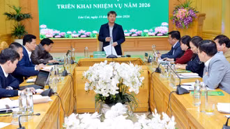 Đồng chí Ngô Hạnh Phúc - Ủy viên Ban Thường vụ Tỉnh ủy, Phó Chủ tịch UBND tỉnh, Trưởng Ban đại diện Hội đồng quản trị Ngân hàng Chính sách Xã hội tỉnh phát biểu kết luận phiên họp.