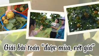 Giải bài toán “được mùa, rớt giá”