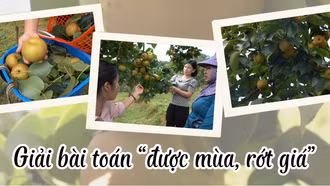 Giải bài toán “được mùa, rớt giá”