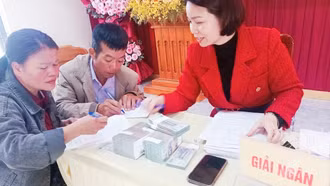 Kênh tín dụng thiết thực của hội viên nông dân xã Xuân Ái