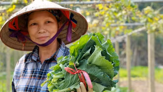 Tuy Lộc - màu xanh trở lại