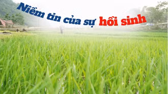 Niềm tin của sự hồi sinh