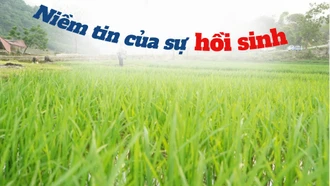 Niềm tin của sự hồi sinh