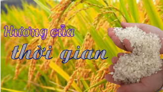 Hương của thời gian