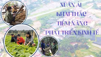 Xuân Ái khai thác tiềm năng phát triển kinh tế