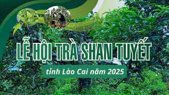 INFOGRAPHIC: LỄ HỘI TRÀ SHAN TUYẾT TỈNH LÀO CAI NĂM 2025