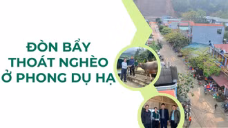 Đòn bẩy thoát nghèo ở Phong Dụ Hạ