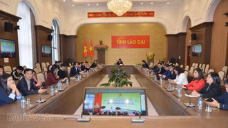 Lào Cai tham dự Hội nghị trực tuyến công tác y tế năm 2025