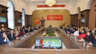 Lào Cai tham dự Hội nghị trực tuyến công tác y tế năm 2025