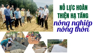 Nỗ lực hoàn thiện hạ tầng nông nghiệp - nông thôn