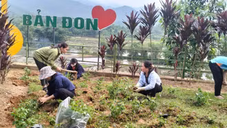 Hỗ trợ trồng hơn 35 nghìn cây hoa phát triển du lịch sinh thái 
