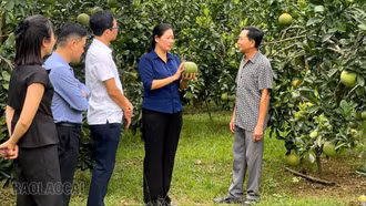 Lâm Giang nhân rộng mô hình thi đua “Dân vận khéo”
