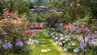 {Ảnh] Những góc nhỏ níu chân du khách