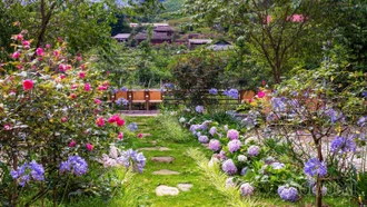 {Ảnh] Những góc nhỏ níu chân du khách