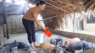 Văn Bàn: Tập trung đẩy mạnh công tác giảm nghèo