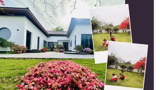 Giữ nếp nhà đẹp