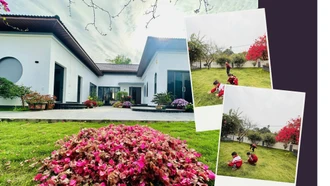 Giữ nếp nhà đẹp