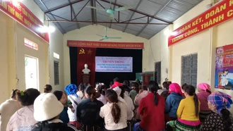 Tăng truyền thông, đối thoại chính sách trong thực hiện Dự án 8