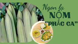 Ngon lạ nộm “phắc ca”