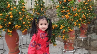 Phường Cam Đường tổ chức 3 điểm hội chợ hoa xuân