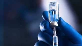 Nhật Bản thử nghiệm lâm sàng vaccine ngừa virus Nipah