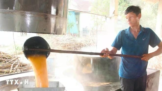 Làng nghề mật mía vào vụ Tết