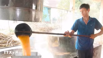 Làng nghề mật mía vào vụ Tết