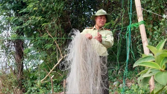 Lào Cai tăng cường quản lý bảo vệ động vật hoang dã