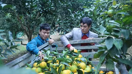 Xây dựng nông thôn mới ở Phúc Khánh: Trọng tâm là nâng cao thu nhập cho người dân