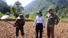 Đồng bào Mông Xanh ở Tu Thượng lần đầu trồng cây vụ đông