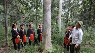 Nâng tầm giá trị nông sản bằng chiến lược canh tác bền vững