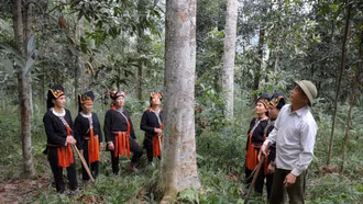 Nâng tầm giá trị nông sản bằng chiến lược canh tác bền vững